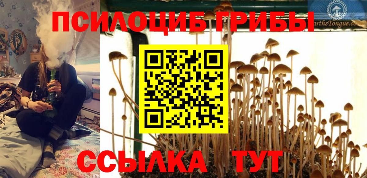 Галлюциногенные грибы мицелий Азнакаево