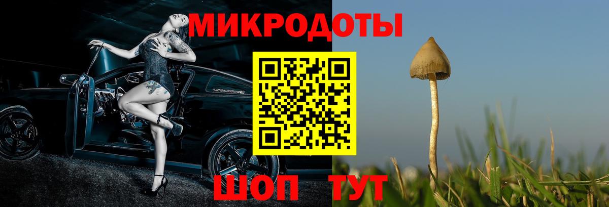 Галлюциногенные грибы Psilocybine cubensis  Галлюциногенные грибы Psilocybe  Азнакаево  Вход с VPN 
